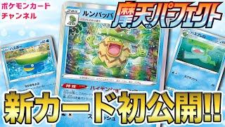 psa10 フウとラン ポケモンカード まとめ買い値引き有+stbp.com.br